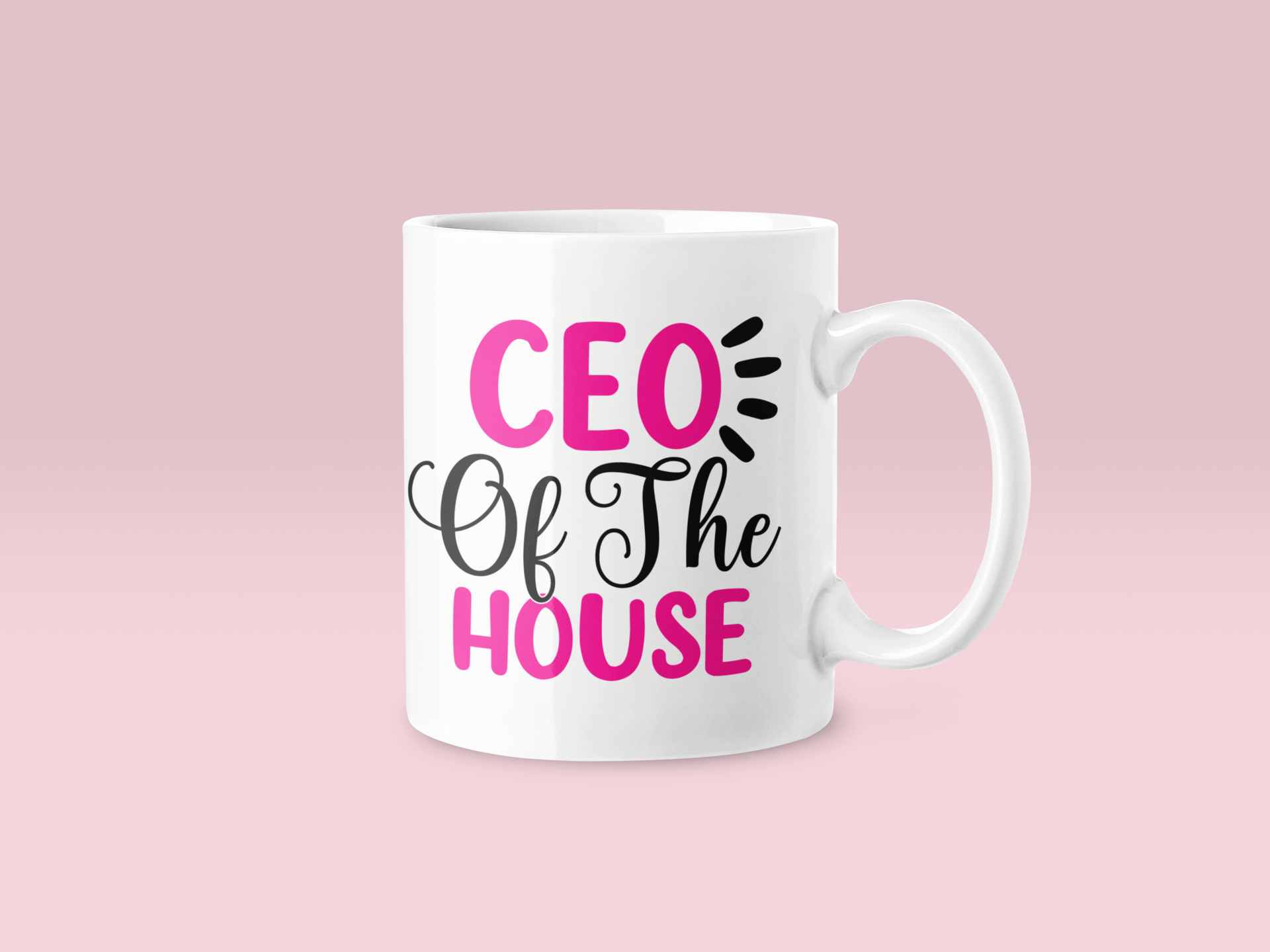 CEO Of The House Mug
